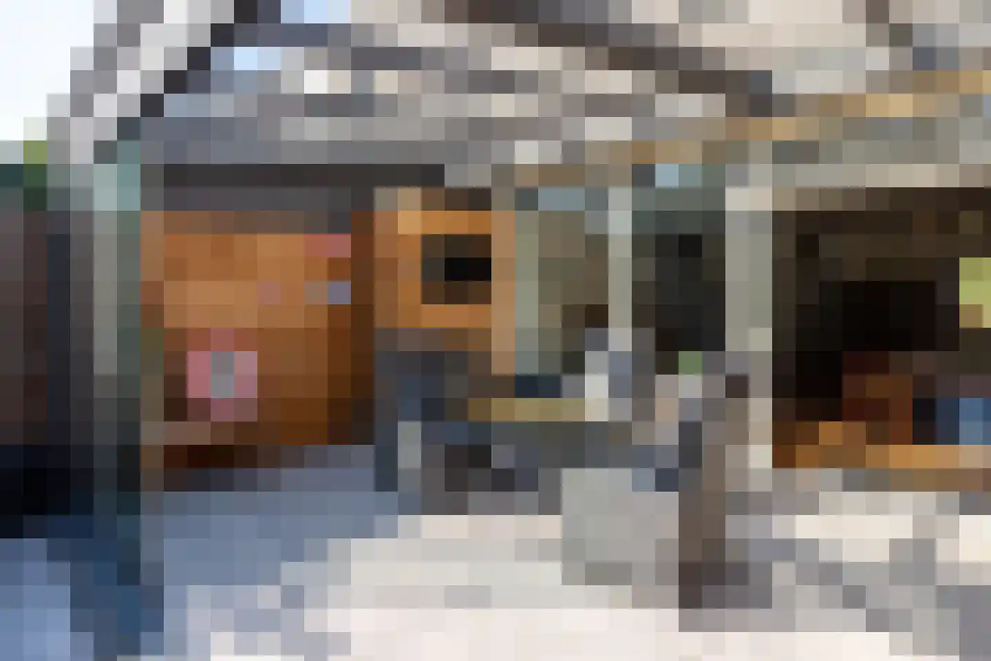 Valkenhoeve 20 Leusden thumbnail 34
