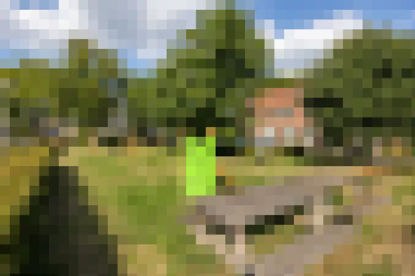 Valkenhoeve 20 Leusden thumbnail 36