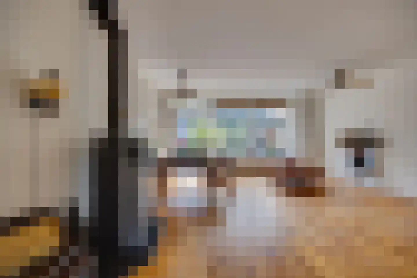 Valkenhoeve 20 Leusden thumbnail 7