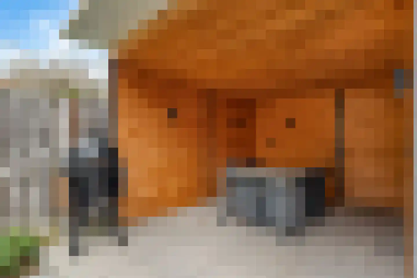 Valkenhoeve 7 Leusden thumbnail 15