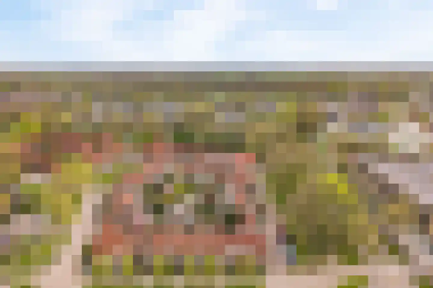 Valkenhoeve 7 Leusden thumbnail 31