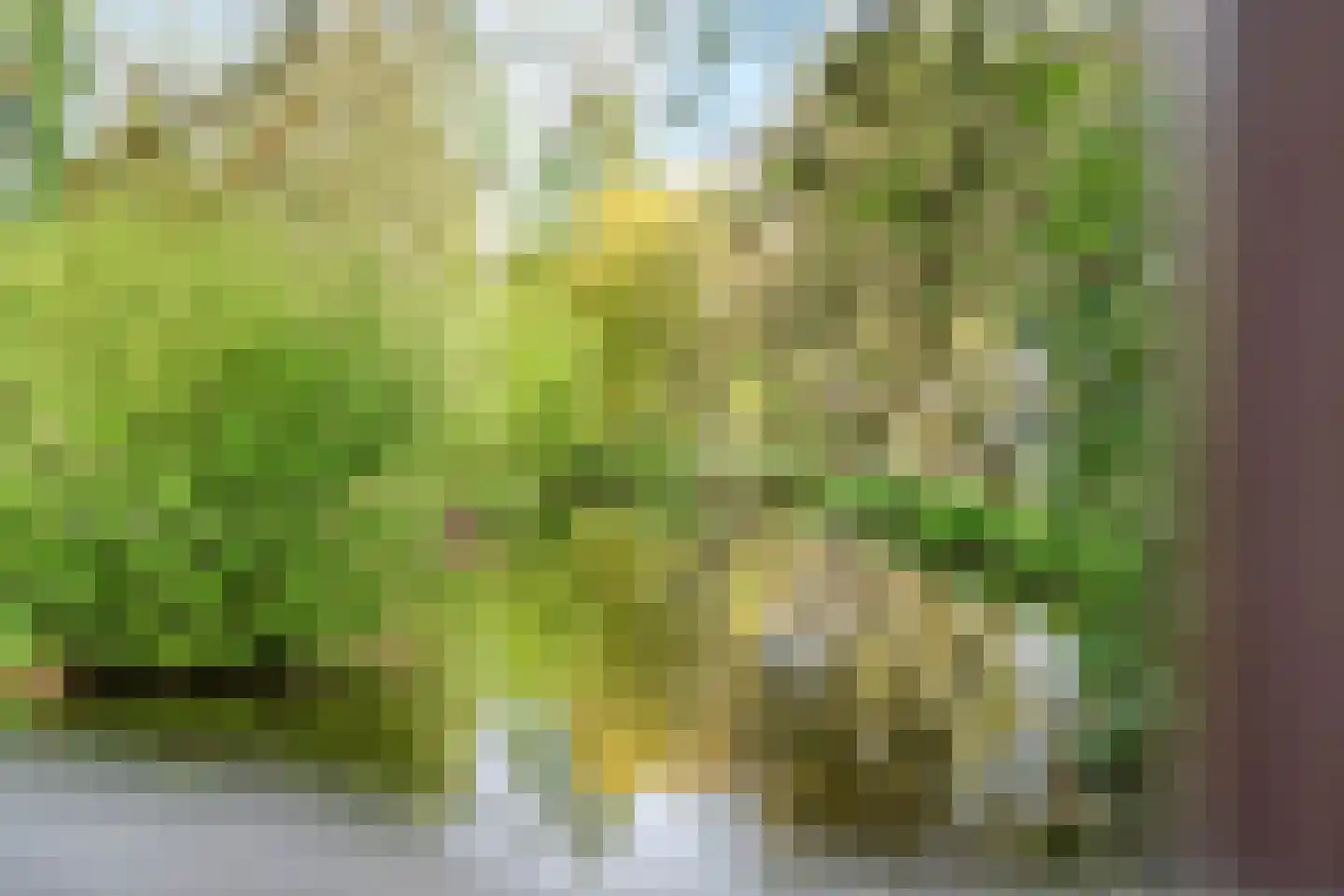 Valkenhoeve 7 Leusden thumbnail 35