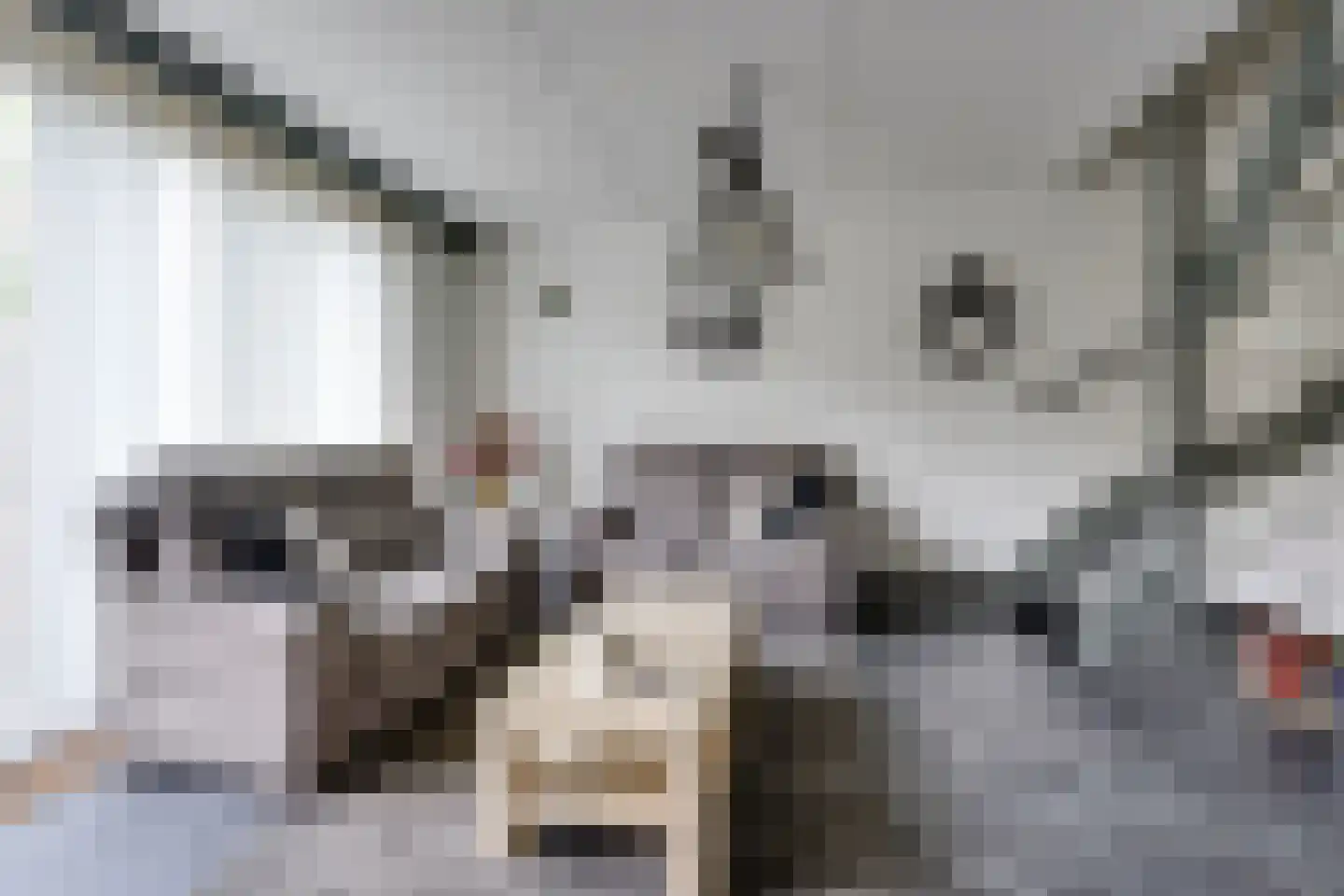 Valkenhof 11 Made thumbnail 14