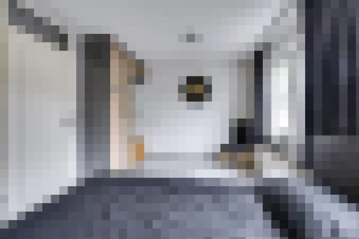 Valkenhof 11 Made thumbnail 31
