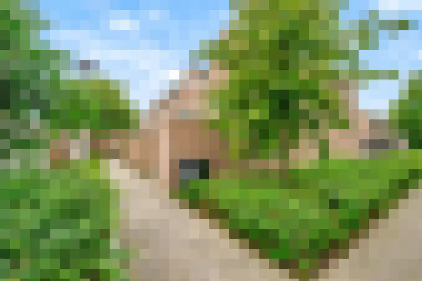 Valkenhof 11 Made thumbnail 6