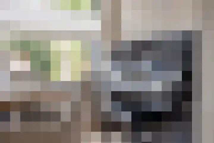 Valkenhof 15 Made thumbnail 23