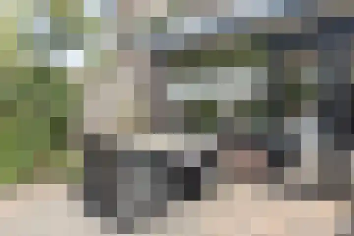 Valkenhof 15 Made thumbnail 39