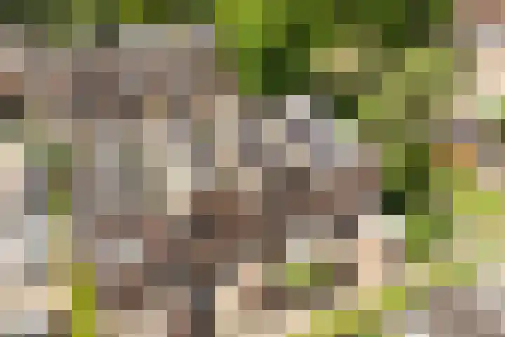 Valkenhof 15 Made thumbnail 4