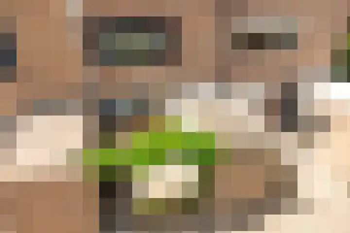 Valkenhof 15 Made thumbnail 45