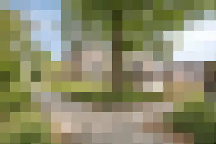 Valkenhof 15 Made thumbnail 46