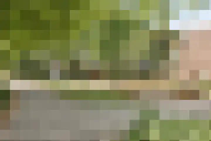 Valkenhof 15 Made thumbnail 47