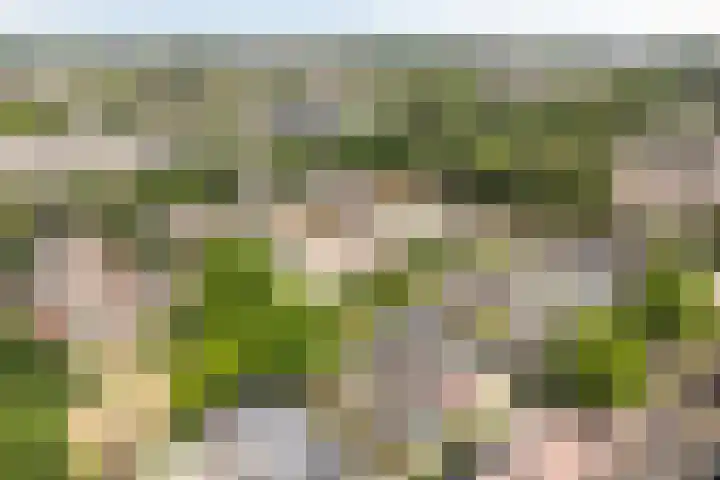 Valkenhof 15 Made thumbnail 49