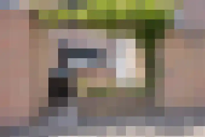 Valkenhof 15 Made thumbnail 8