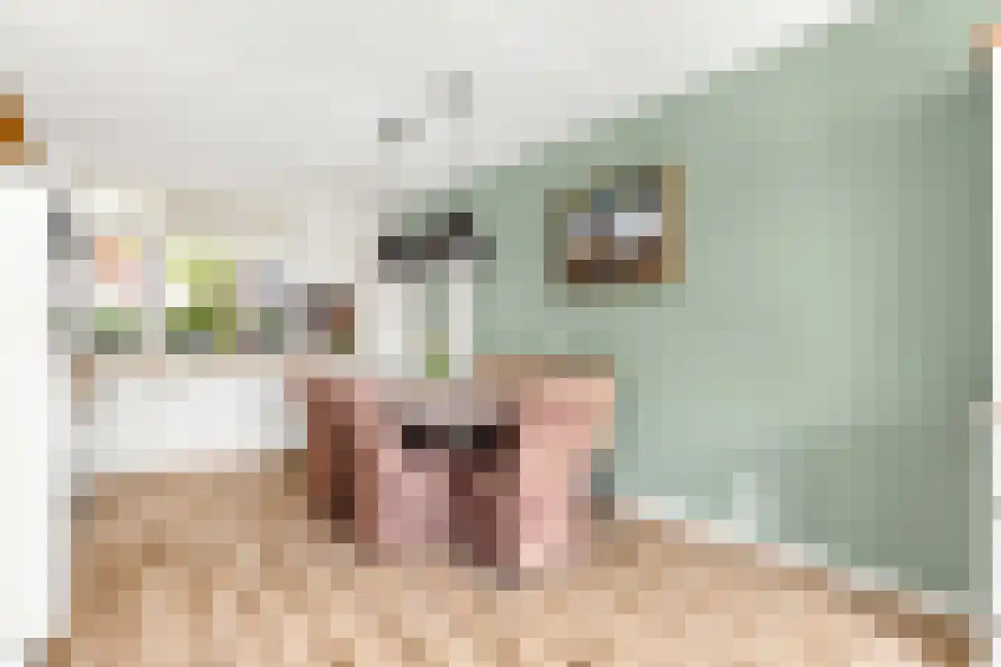Valkenhof 17 Nijkerk thumbnail 11