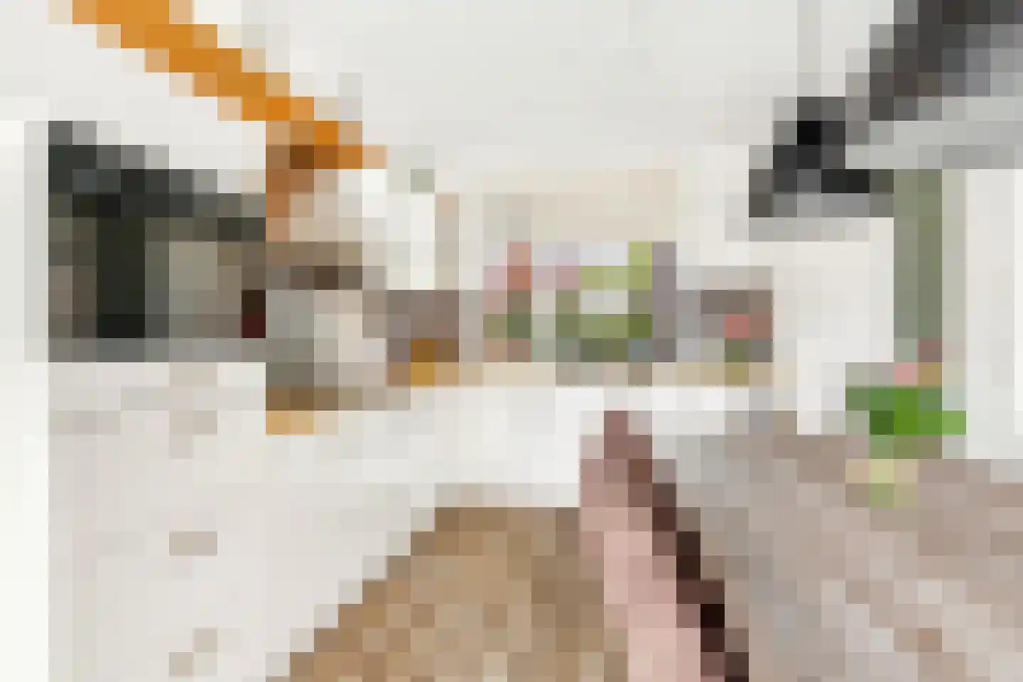 Valkenhof 17 Nijkerk thumbnail 13