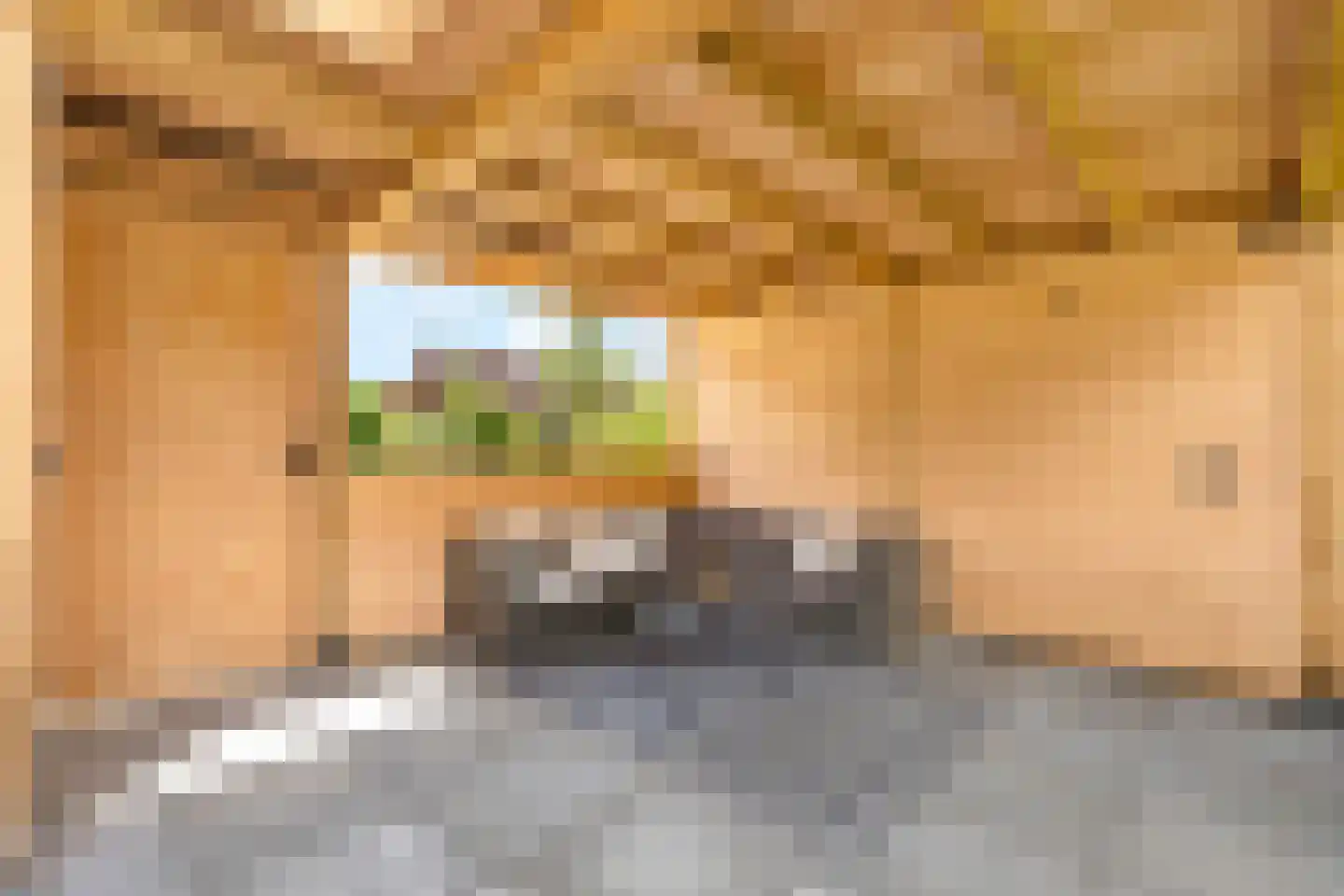 Valkenhof 17 Nijkerk thumbnail 32