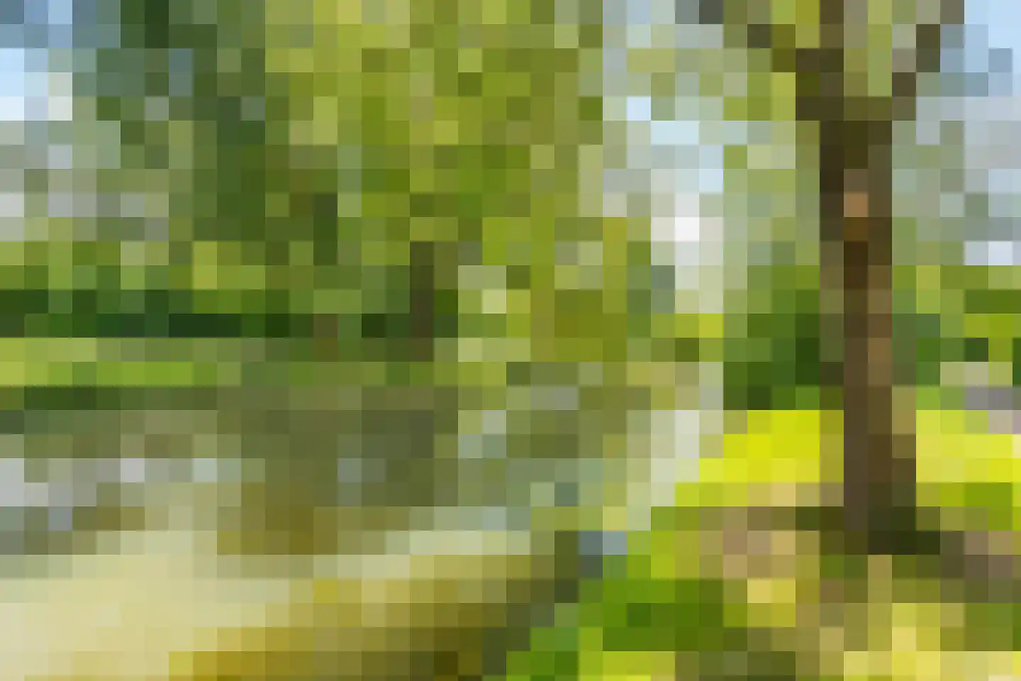 Valkenhof 17 Nijkerk thumbnail 37