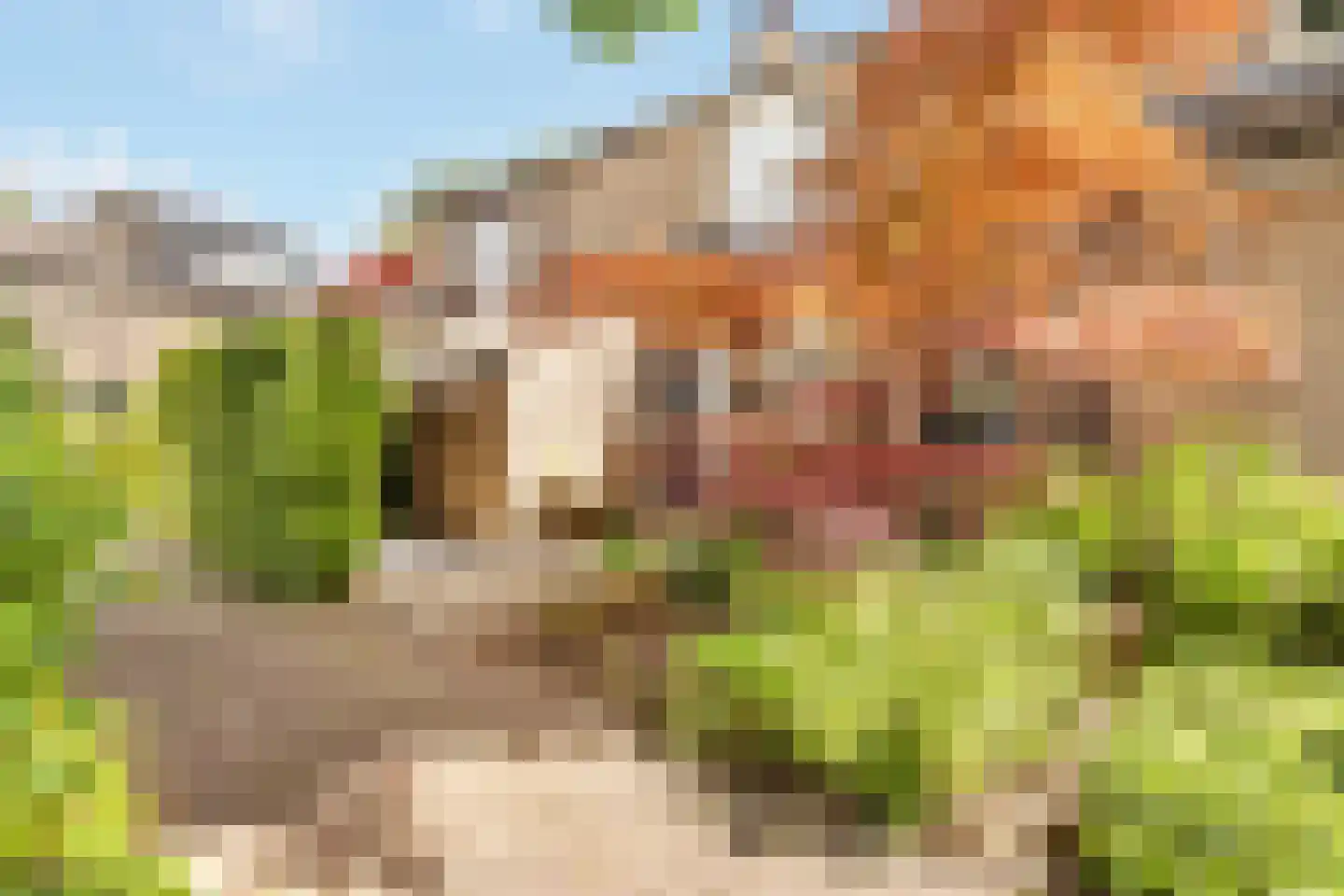 Valkenhof 17 Nijkerk thumbnail 6
