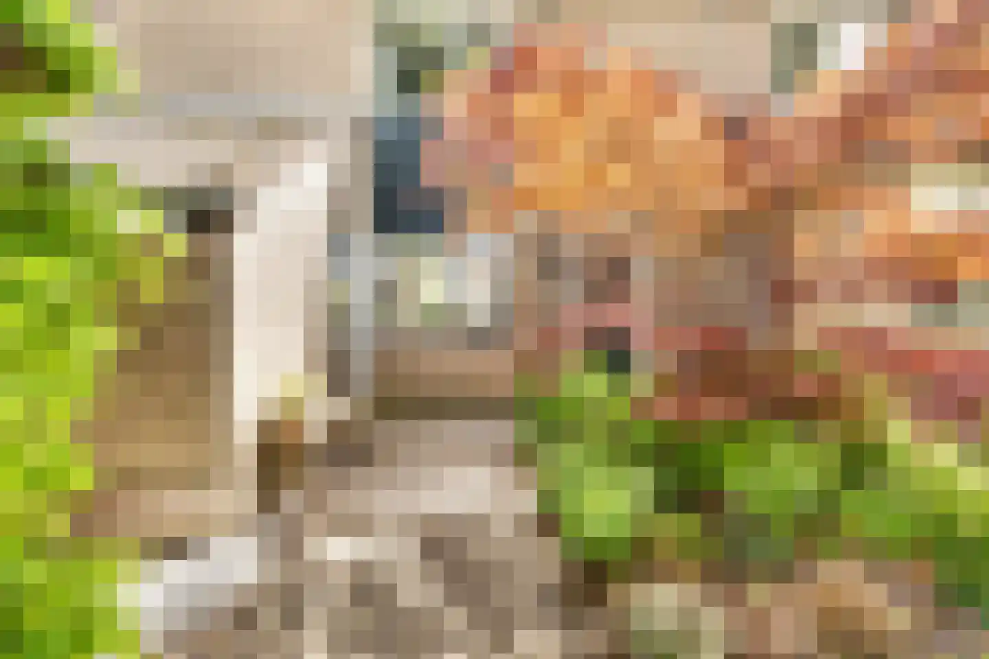Valkenhof 17 Nijkerk thumbnail 7