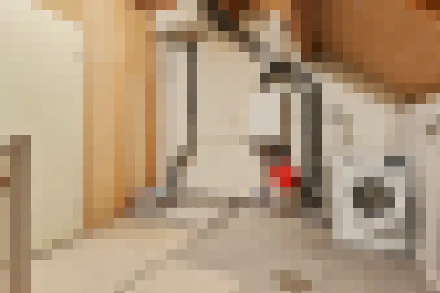 Valkenhof 18 Made thumbnail 31