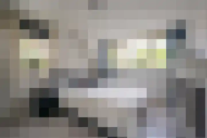 Valkenhof 2 Nijkerk thumbnail 14