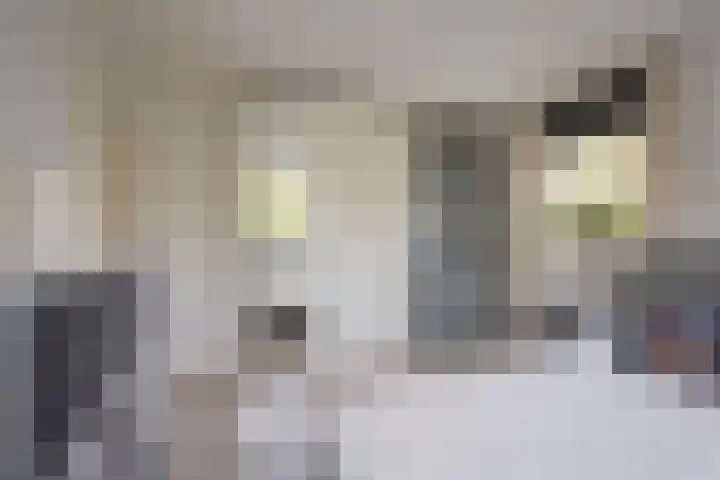 Valkenhof 2 Nijkerk thumbnail 15