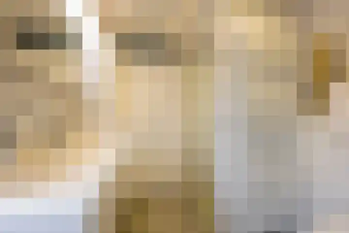 Valkenhof 2 Nijkerk thumbnail 22
