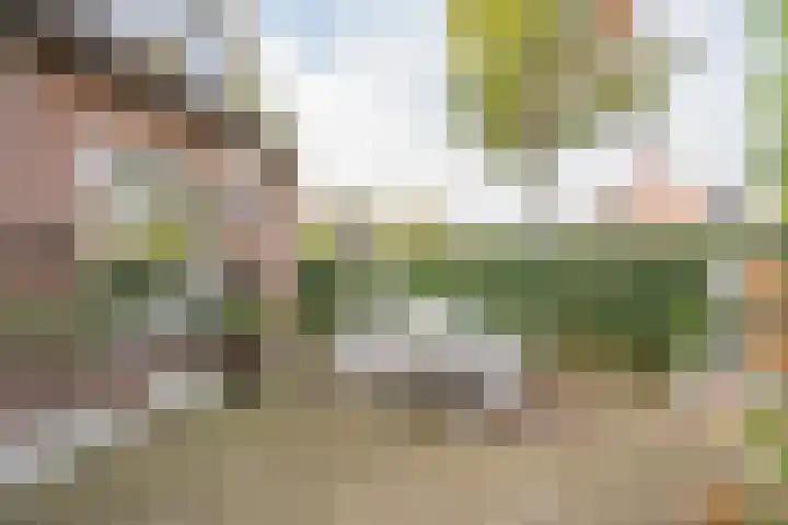 Valkenhof 2 Nijkerk thumbnail 27