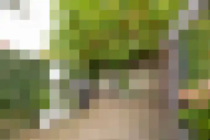 Valkenhof 2 Nijkerk thumbnail 28