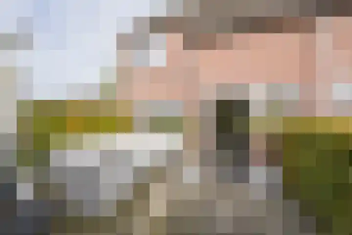 Valkenhof 2 Nijkerk thumbnail 30