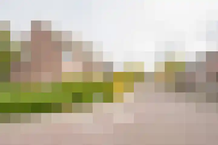 Valkenhof 2 Nijkerk thumbnail 31