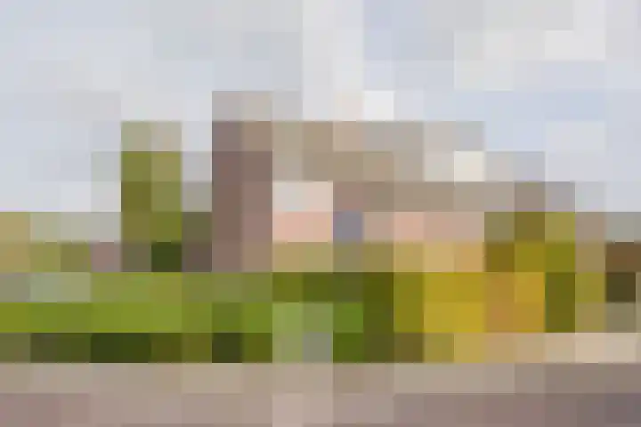 Valkenhof 2 Nijkerk thumbnail 32