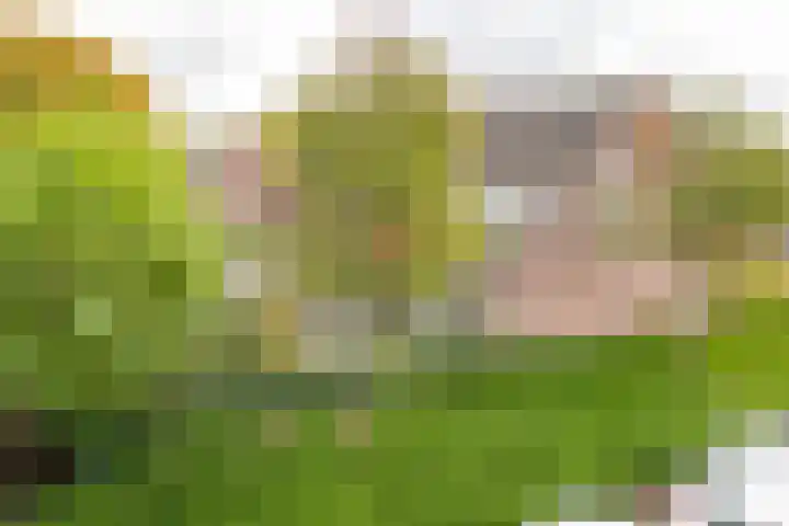 Valkenhof 2 Nijkerk thumbnail 33