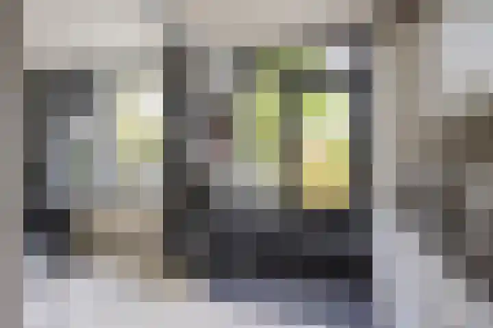 Valkenhof 2 Nijkerk thumbnail 8