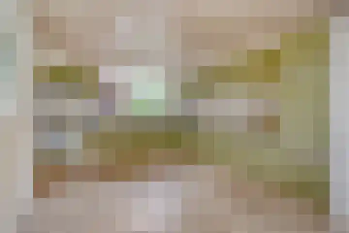 Valkenhof 3 Borne thumbnail 15