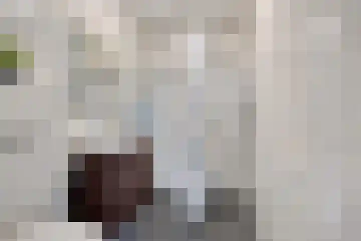 Valkenhof 3 Borne thumbnail 21