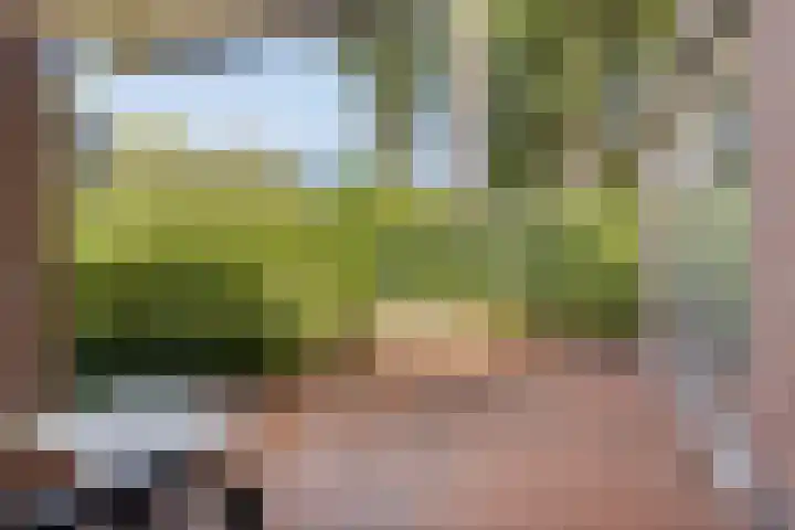 Valkenhof 3 Borne thumbnail 25