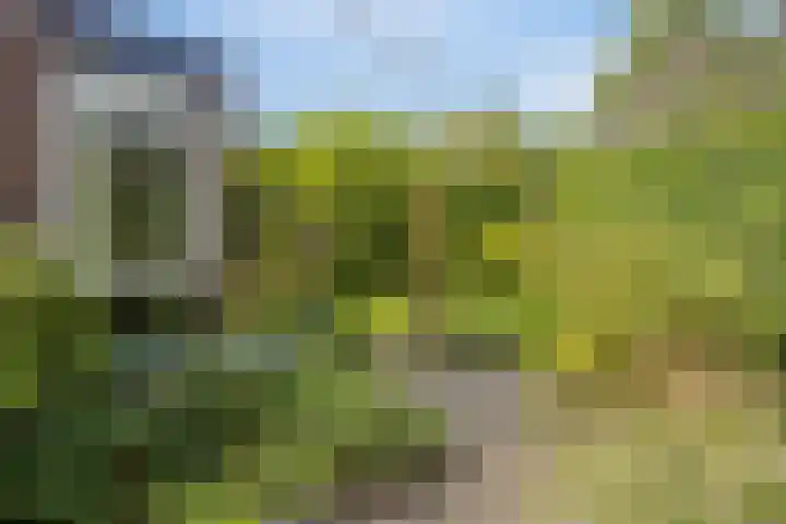 Valkenhof 3 Borne thumbnail 27