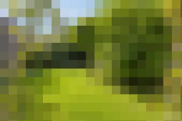 Valkenhof 3 Borne thumbnail 28
