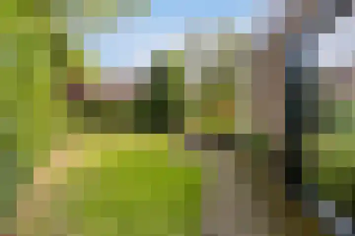 Valkenhof 3 Borne thumbnail 29