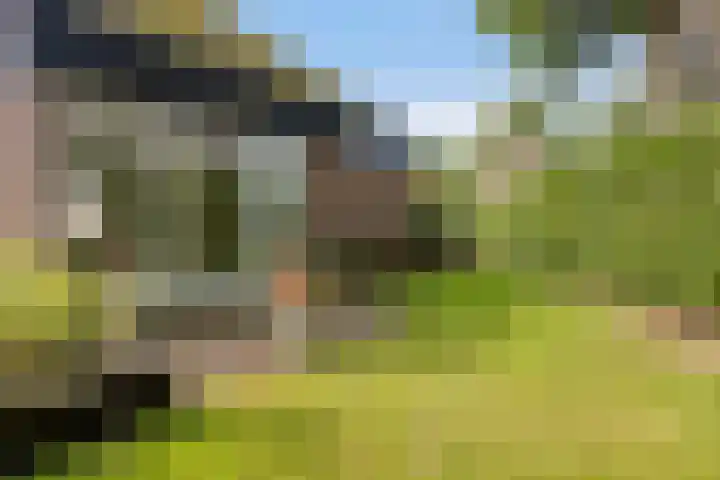 Valkenhof 3 Borne thumbnail 30