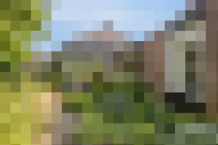 Valkenhof 3 Borne thumbnail 31