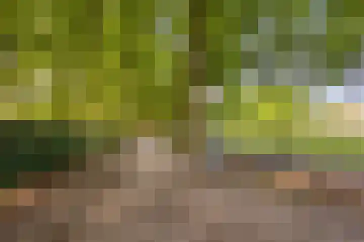 Valkenhof 3 Borne thumbnail 34