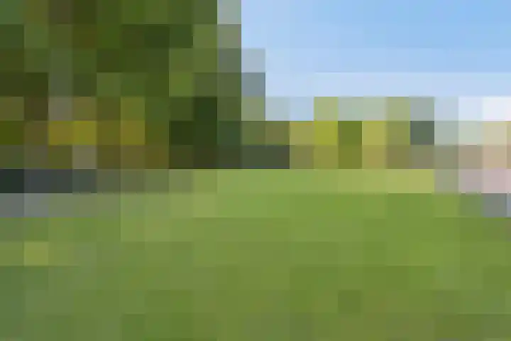 Valkenhof 3 Borne thumbnail 35