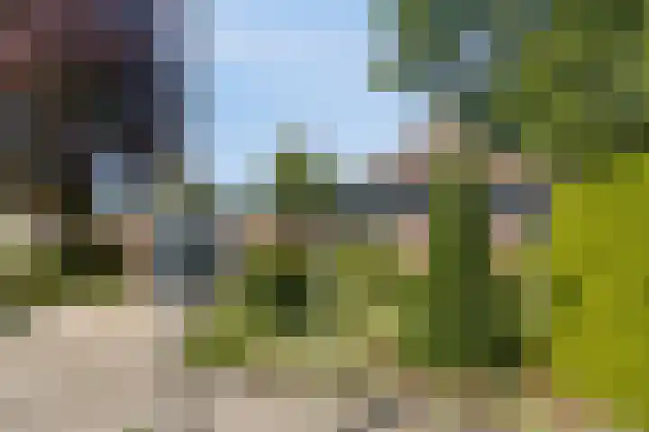 Valkenhof 3 Borne thumbnail 4