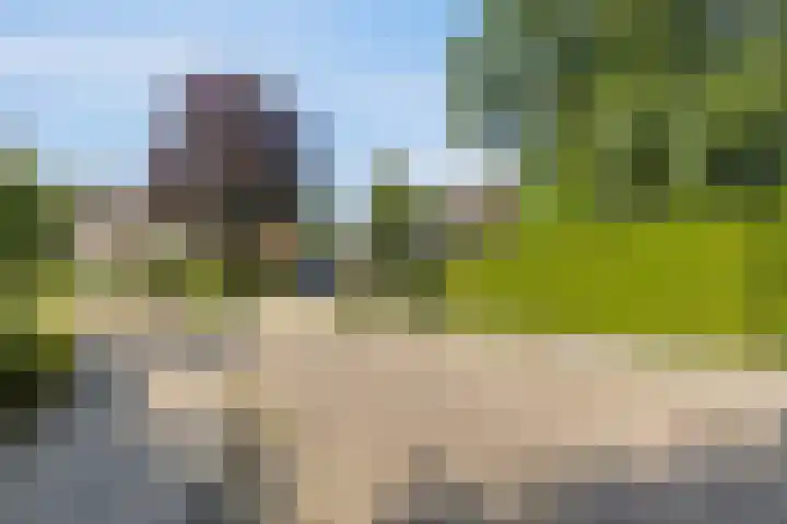 Valkenhof 3 Borne thumbnail 5