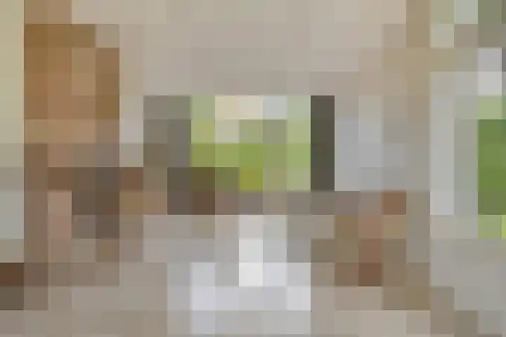 Valkenhof 3 Borne thumbnail 9
