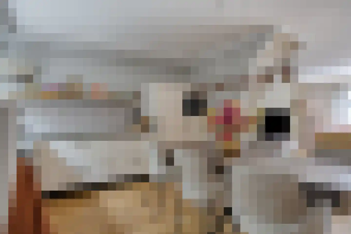 Valkenhof 30 Made thumbnail 12