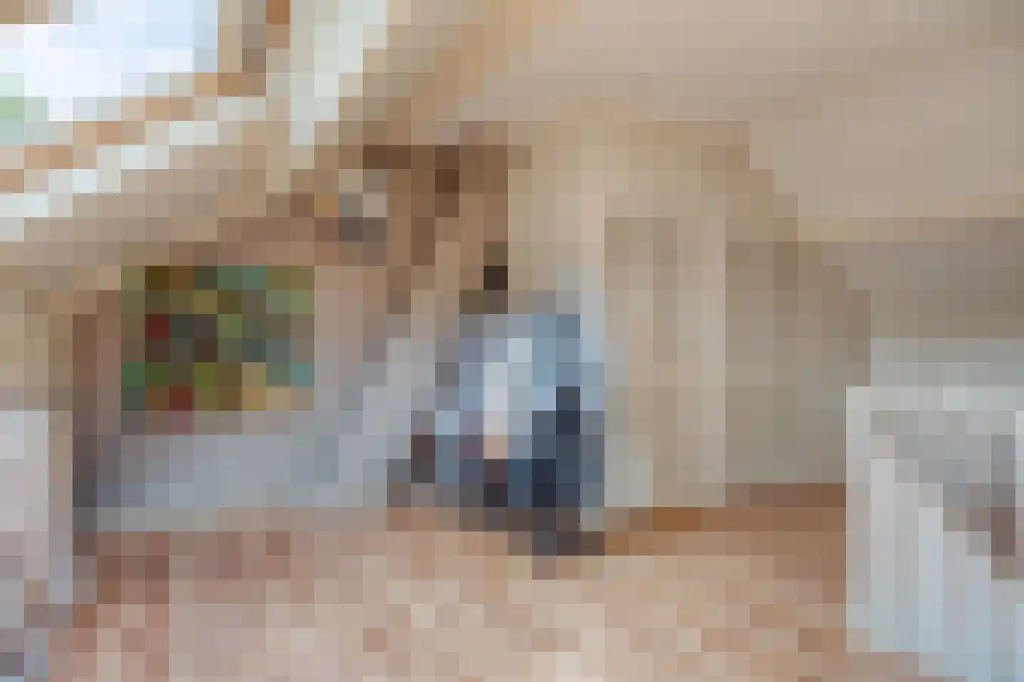 Valkenhof 30 Made thumbnail 29