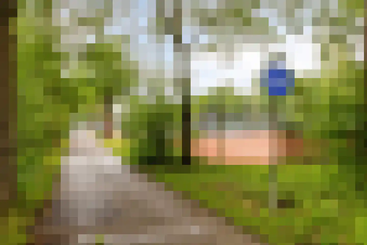 Valkenhof 30 Made thumbnail 36
